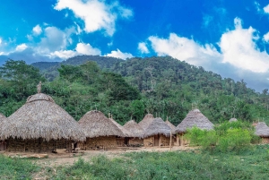 Desde Santa Marta: Tour de 4 días para descubrir la Ciudad Perdida