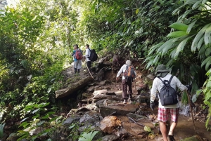 Desde Santa Marta: Tour de 4 días para descubrir la Ciudad Perdida