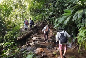 From Santa Marta: 4-Day Lost City Discovery Tour