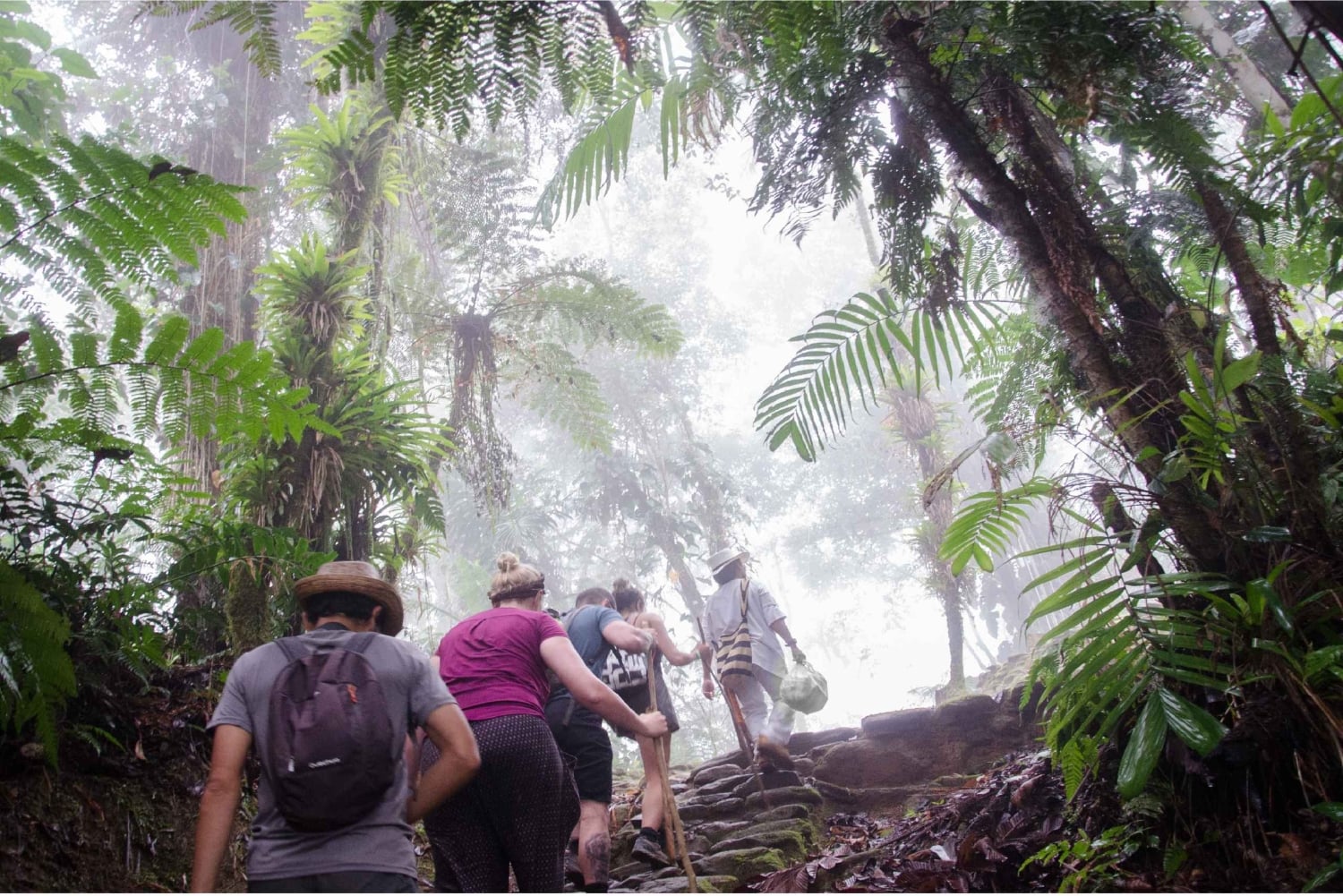 Fra Santa Marta: 4-dages vandretur til Ciudad Perdida
