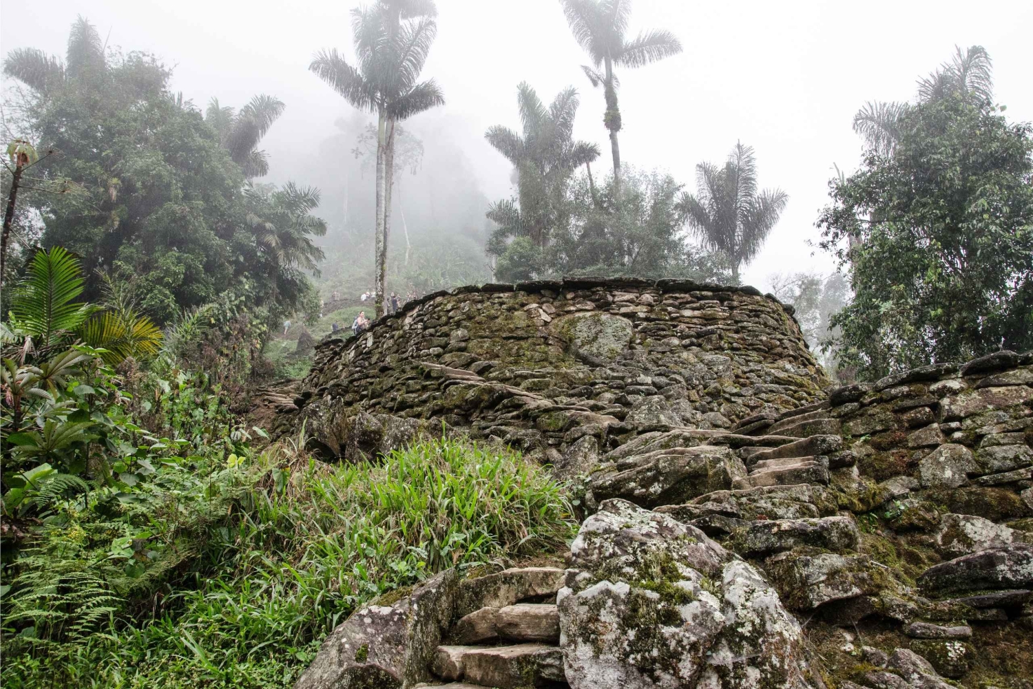 Fra Santa Marta: 4-dages vandretur til Ciudad Perdida