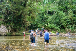 From Santa Marta: Ciudad Perdida 4-day Trek