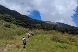 From Santa Marta or Minca: 2-Day Cerro Kennedy Trek
