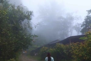 From Santa Marta or Minca: 2-Day Cerro Kennedy Trek