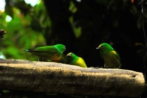 From Santa Marta or Minca: 2-Day Cerro Kennedy Trek