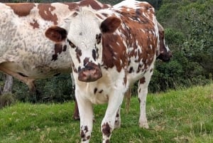 From Santa Marta or Minca: 2-Day Cerro Kennedy Trek