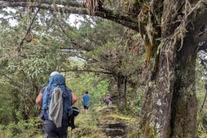 From Santa Marta or Minca: 2-Day Cerro Kennedy Trek