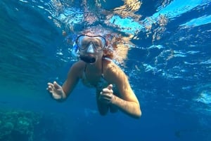 Från Santa Marta: Vandring på Sisiguacas strand med snorkling