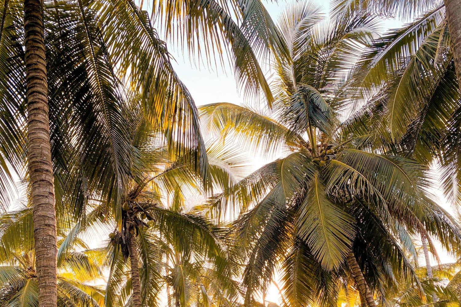 Da Santa Marta: Tour guidato del Parco Nazionale Tayrona