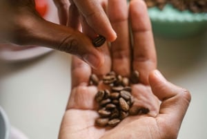 From Seed to Cup: Colombian Specialty Coffee Tasting.