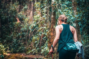 ビジャ・デ・レイバ発：ラ・ペリケラハイキングツアー