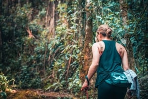 Fra Villa de Leyva: Fottur i La Periquera