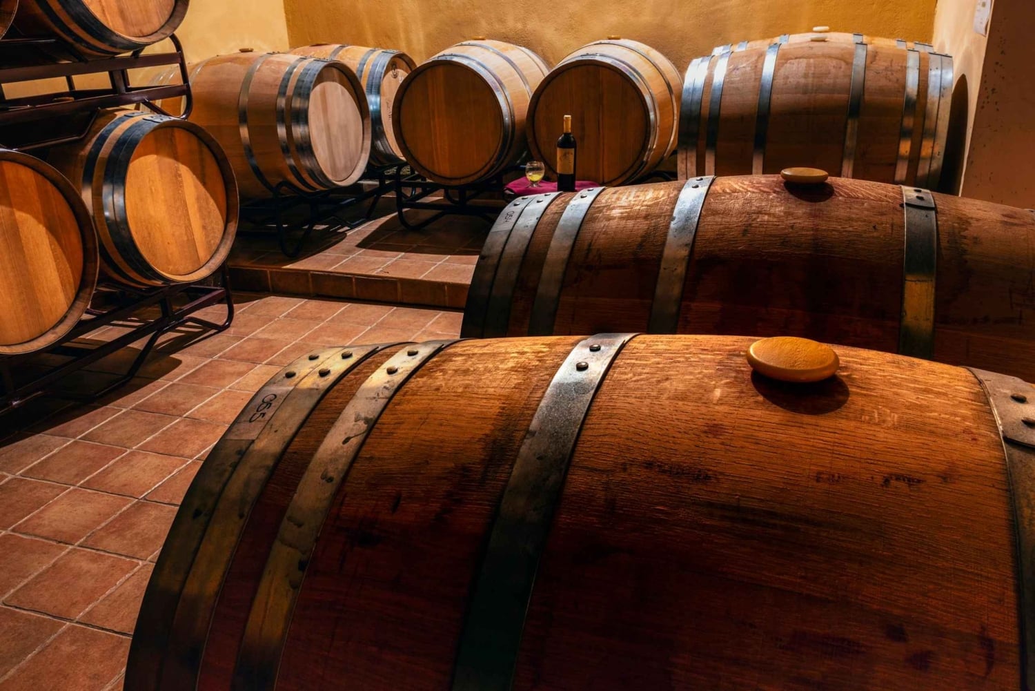 From Villa de Leyva: Vineyard Tour