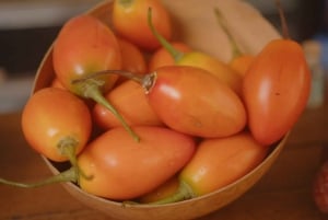 Experiencia de degustación de frutas en Getsemaní, Cartagena