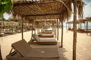 Día completo en la Playa Fénix