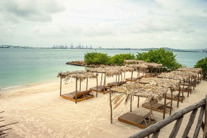 Día completo en la Playa Fénix