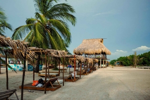 Día completo en la Playa Fénix