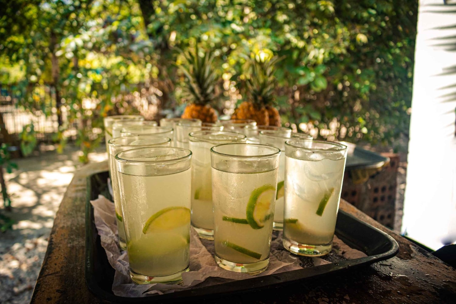 Hele dag op isla encantada strand