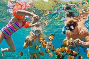 Día Completo Isla Barú: Manglar +Snorkel + Atardecer + Plancton