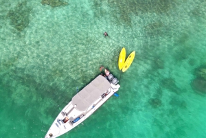 Heldag islas del Rosario + Oceanario + snorkling