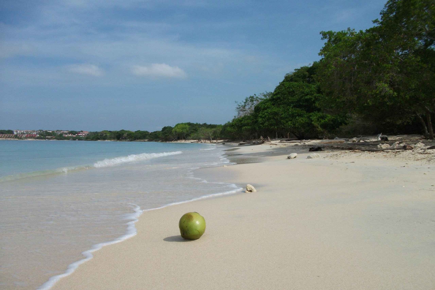プラヤ・ブランカ・バルへの1日ツアー（昼食付き）