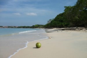 Excursão de dia inteiro a Playa Blanca Baru com almoço