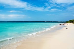 Excursão de dia inteiro a Playa Blanca Baru com almoço