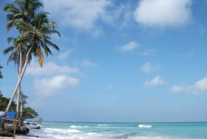 Excursão de dia inteiro a Playa Blanca Baru com almoço