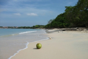 プラヤ・ブランカ・バルへの1日ツアー（昼食付き）