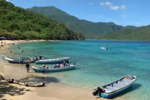 Heldagsutflykt till Tayrona-parken från Cartagena