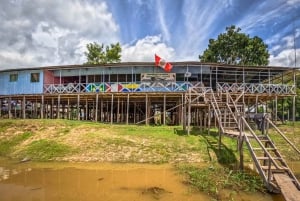 Full jungle experience