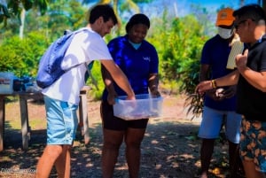 Experiencias gastronómicas y musicales en San Andrés Rondontour