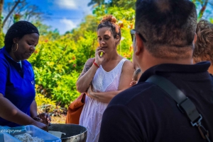 Gastronomic and musical experiences in San Andres Rondontour