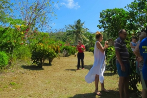 Experiencias gastronómicas y musicales en San Andrés Rondontour