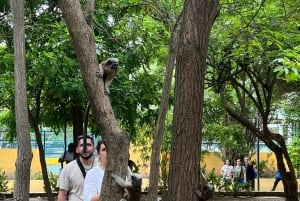 Gastronomische & koffietour door de plaatselijke bevolking in de Oude Stad