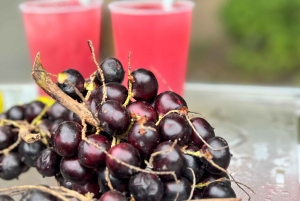 旧市街での美食ツアーとプロによる写真撮影