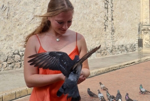 旧市街での美食ツアーとプロによる写真撮影