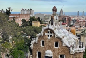 Barcelona: Park Güell Guided Tour with Skip-The-Line Entry