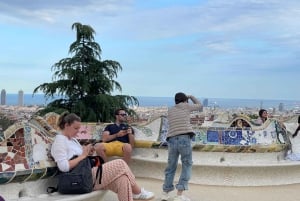 Barcelona: Park Güell Guided Tour with Skip-The-Line Entry