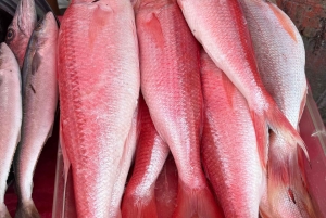 Conosci la vera Cartagena: tour gastronomico e culturale del Mercado Bazurto