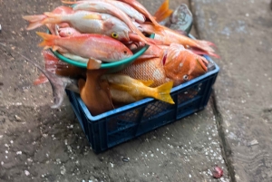 Conosci la vera Cartagena: tour gastronomico e culturale del Mercado Bazurto