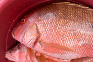 Conosci la vera Cartagena: tour gastronomico e culturale del Mercado Bazurto