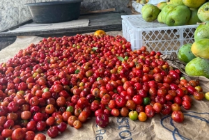 Conosci la vera Cartagena: tour gastronomico e culturale del Mercado Bazurto