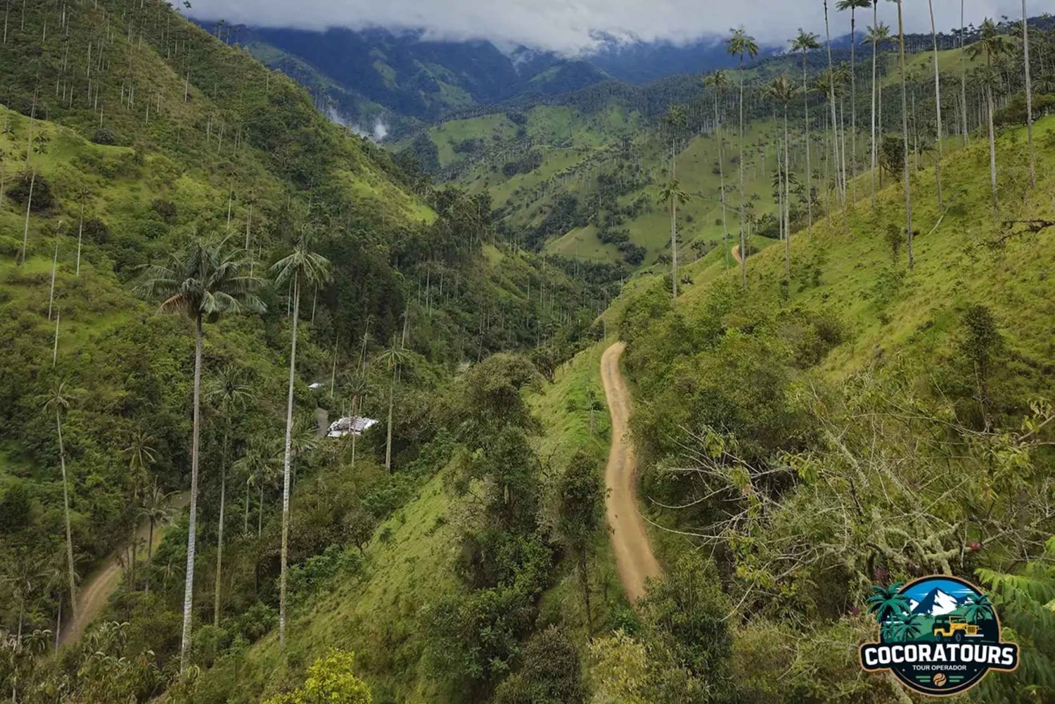 Giant's Route: La Carbonera Bike Tour from Salento