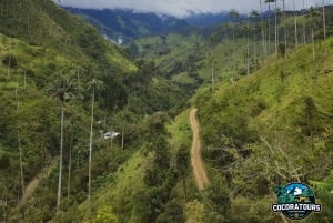 Giant's Route: La Carbonera Bike Tour from Salento