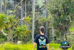 Giant's Route: La Carbonera Bike Tour from Salento