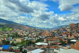 Graffiti, histoire et saveurs : un voyage à travers la commune 13.