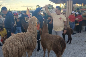 Erlebnistour in Guatapé: Natur, Kultur und Bootsfahrt mit Guide