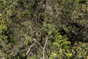 Guatape : Visite privée de luxe