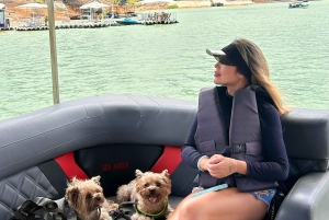 Guatape Tour with Luxury Boat Ride, Meals & Llamas farm